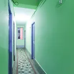 Oyo 73800 Kushal Guest House