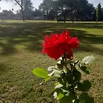 Levishta Resort