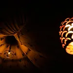 The Rustic Villa, A Stay With Luxuries Amenities And Exotic Nature