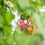 Zest-A Boutique Hotel