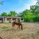 The Bagheera Heritage By Earthaa Escapes, Jaipur