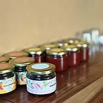 Girisadan Organic Farm Retreat & Botanical Forest
