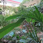 Vijaya\'S Homestead Jaipur