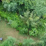 Osho Villa Guest House