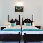 Ebonystays Manor Green