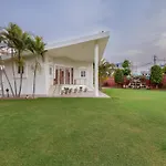 Palm Familia By Palm Leisure