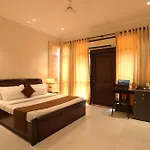 Palm 34