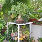 Oasis House