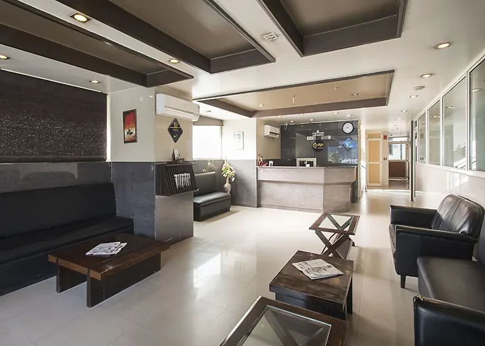 Oyo Premium Ahinsa Circle C Scheme