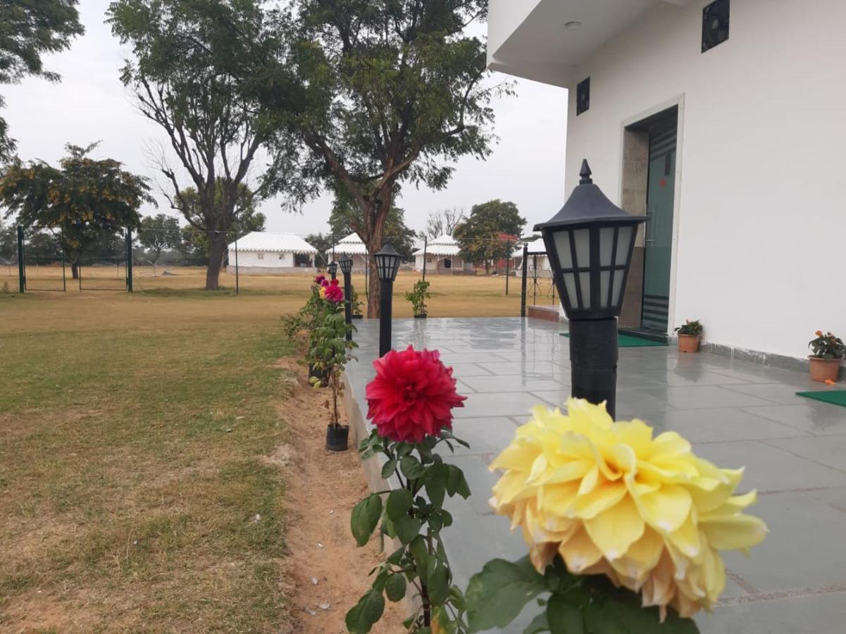 Levishta Luxury tent Jaipur