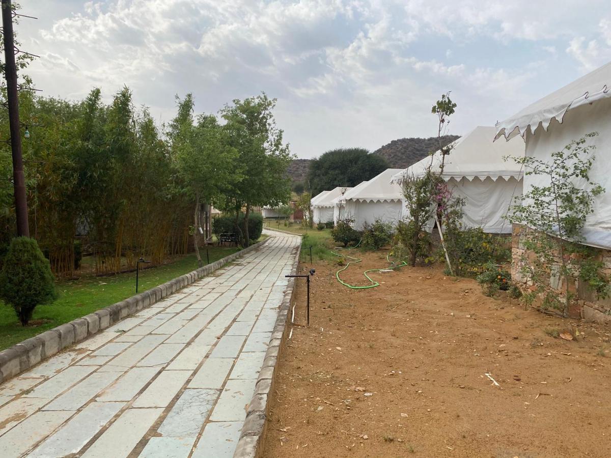 Grass Field Valley Jaipur
