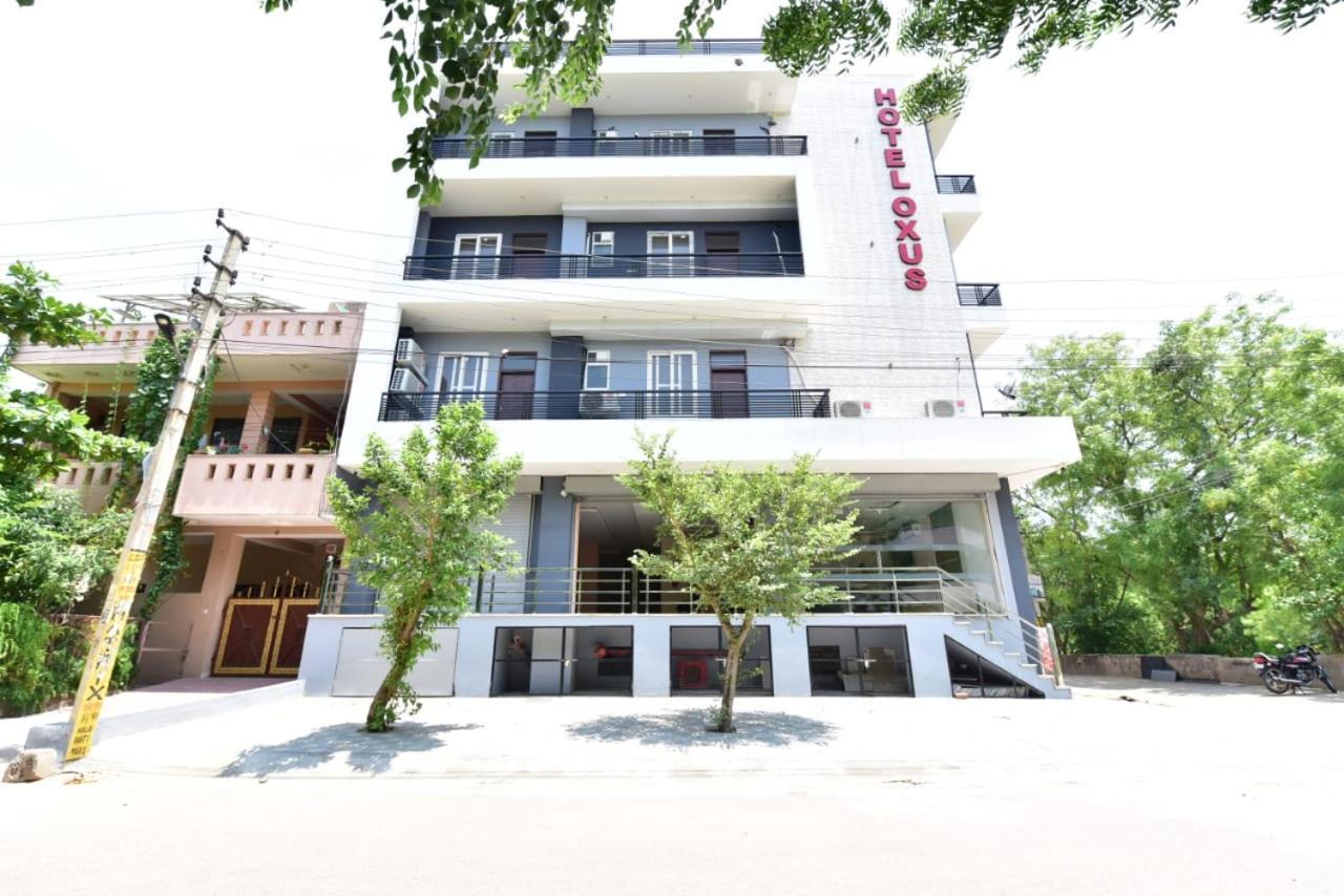 Oxus Jaipur