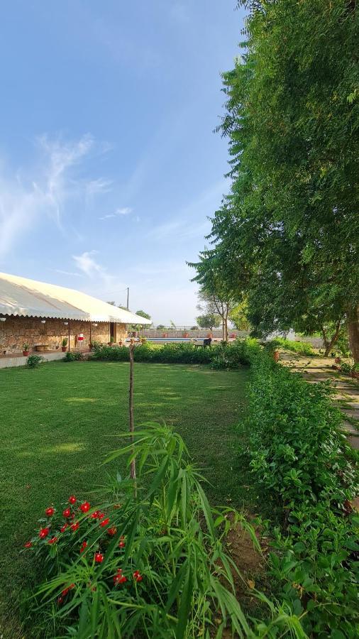 The Rustic Villa, A With Luxuries Amenities And Exotic Nature Villa Jaipur