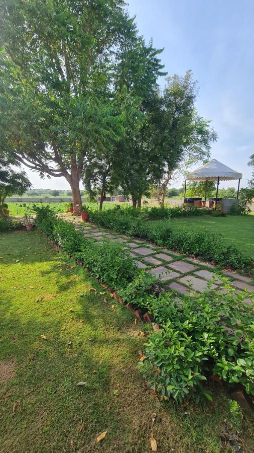 The Rustic Villa, A With Luxuries Amenities And Exotic Nature