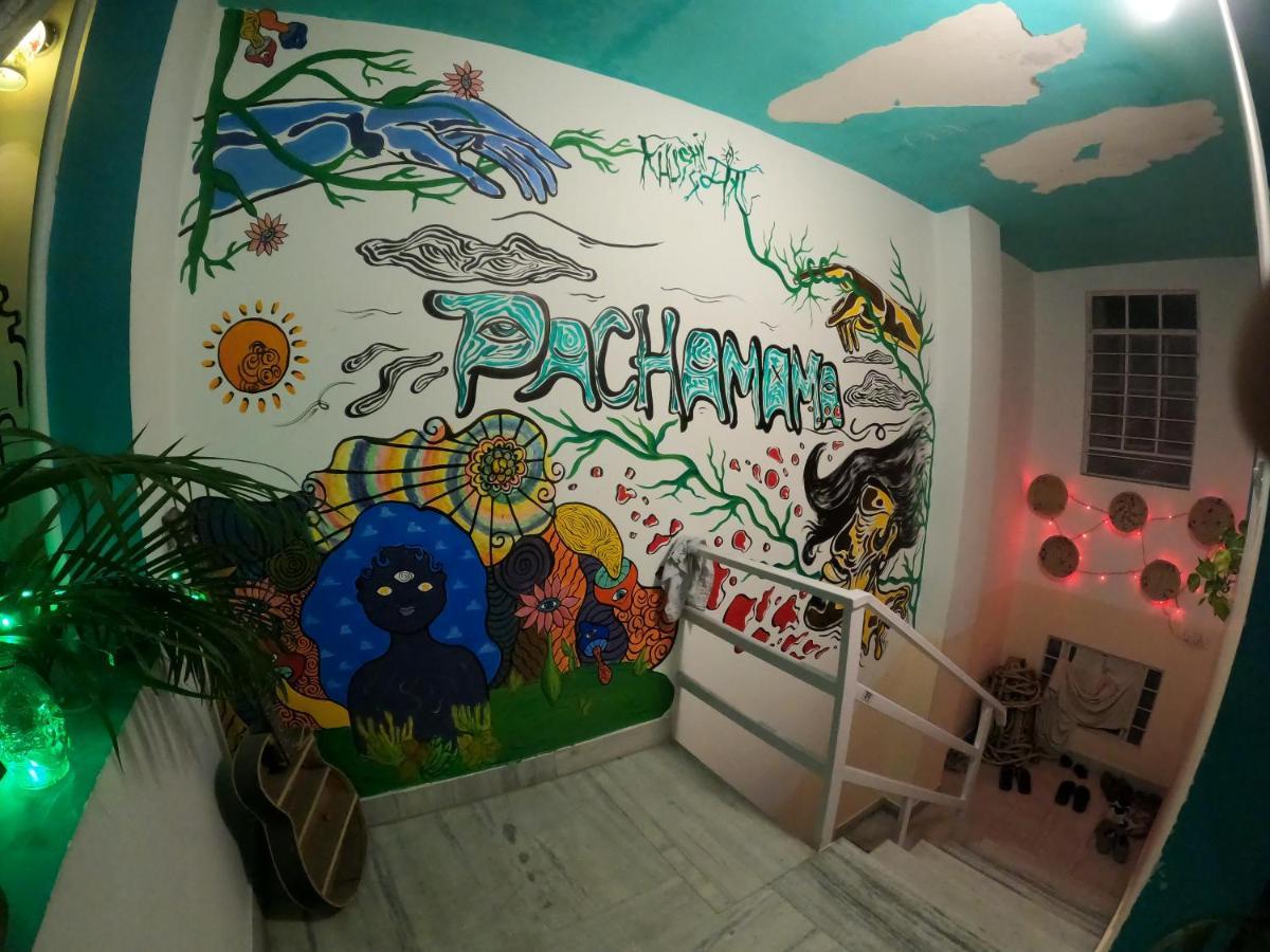 Pachamama Hostel Jaipur