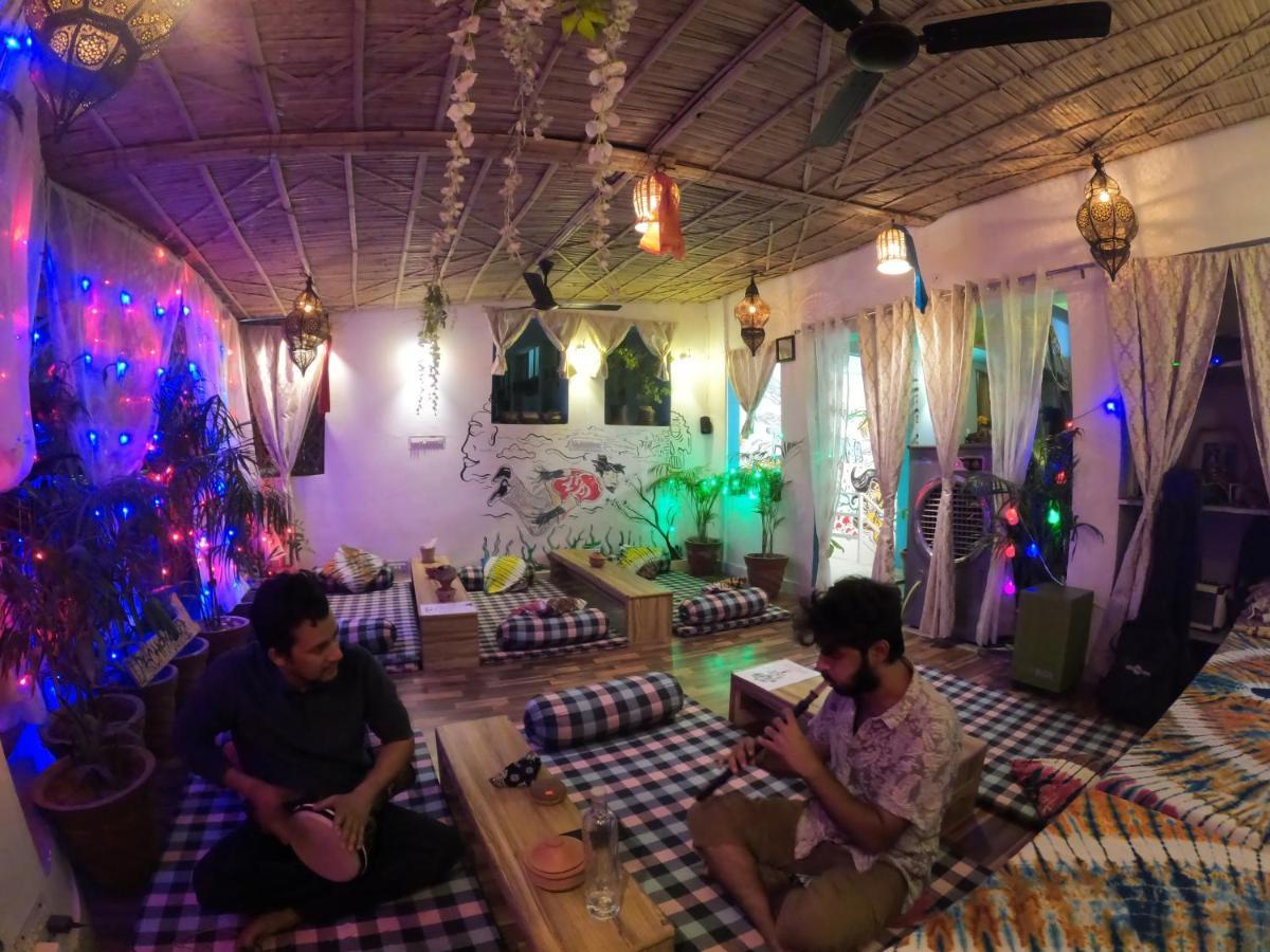 Pachamama * Jaipur