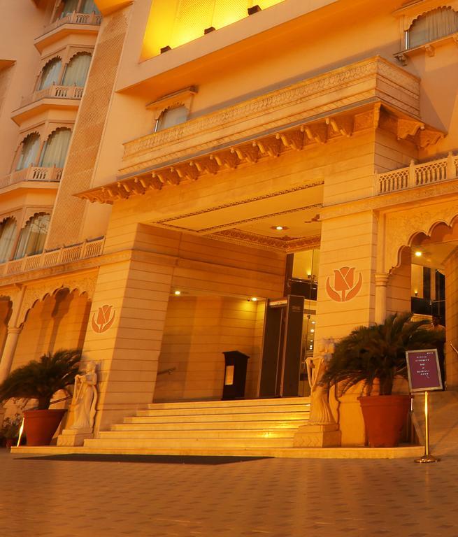 Golden Tulip