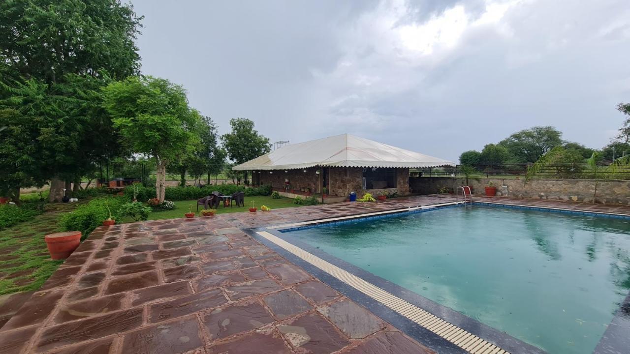 The Rustic Villa, A With Luxuries Amenities And Exotic Nature Villa Jaipur