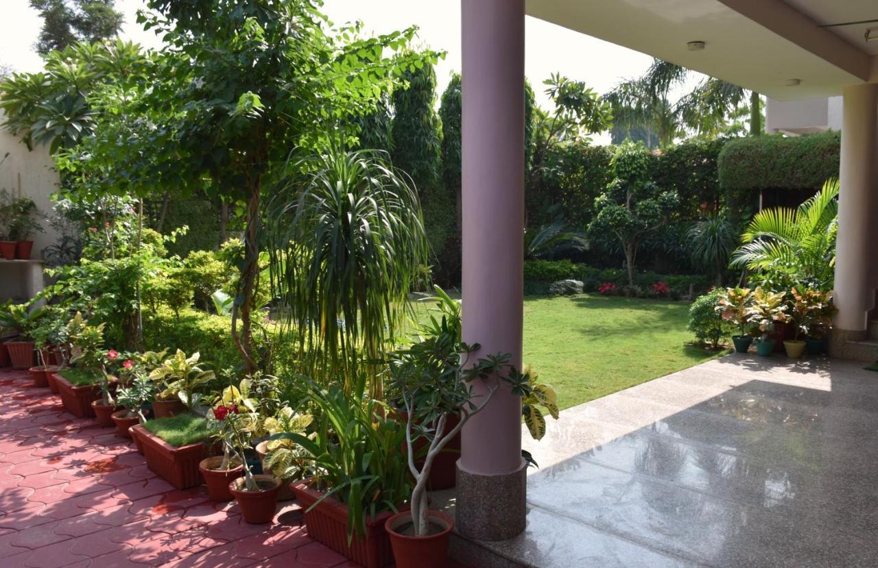 The Omaira Jaipur