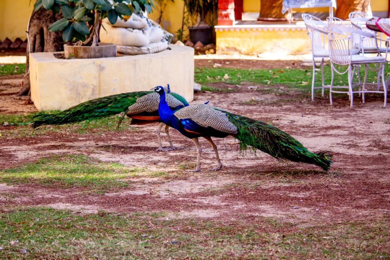 Hotel Anuraag