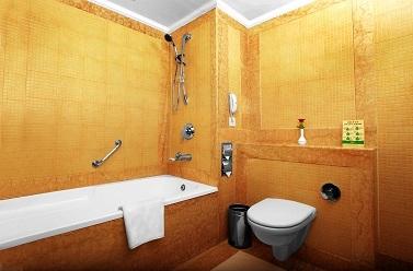 Park Regis 4* Jaipur