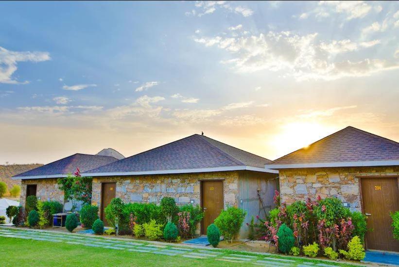 Grass Field Valley * Jaipur