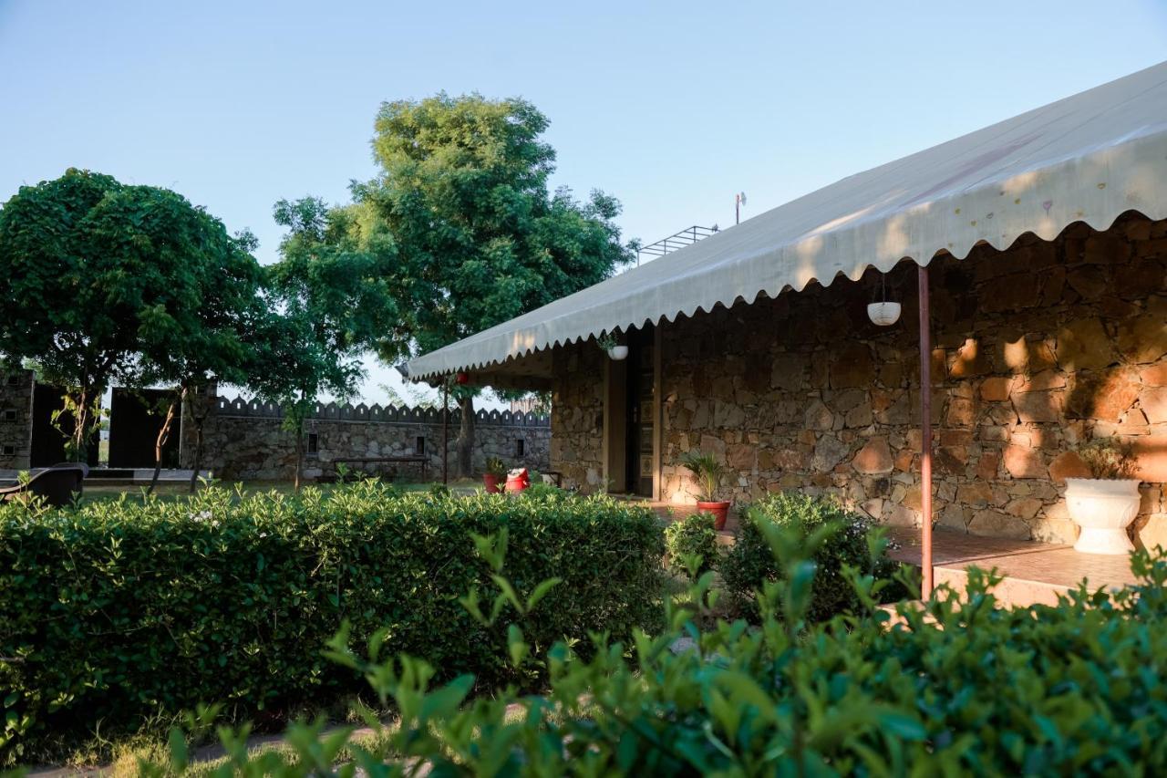 The Rustic Villa, A With Luxuries Amenities And Exotic Nature Villa Jaipur