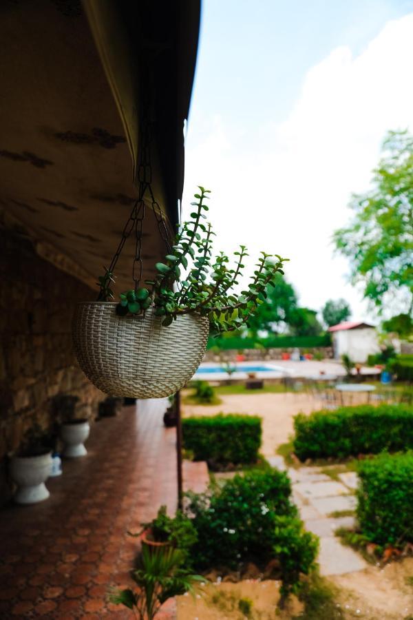 Villa The Rustic Villa, A With Luxuries Amenities And Exotic Nature