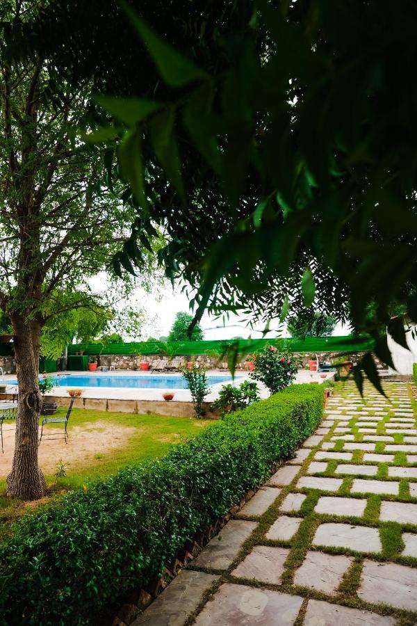 Villa The Rustic Villa, A With Luxuries Amenities And Exotic Nature *