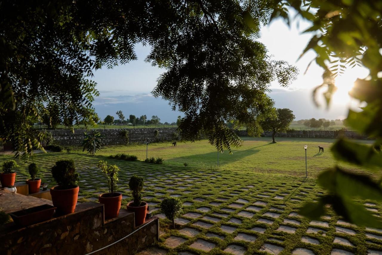 The Rustic Villa, A With Luxuries Amenities And Exotic Nature Villa Jaipur