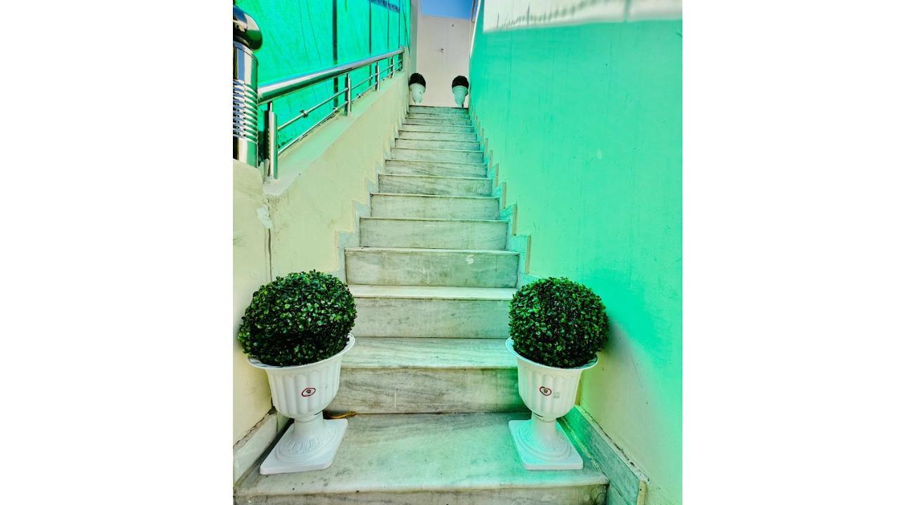Ivory Hostel