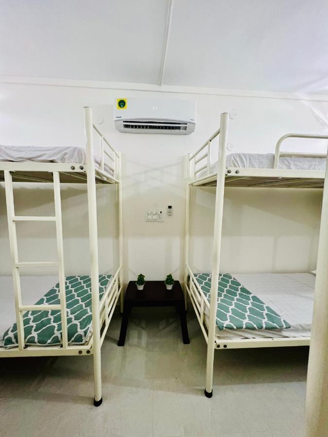 Ivory Hostel