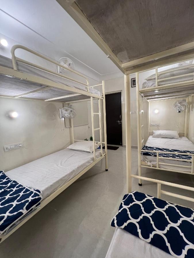 Ivory Hostel Jaipur