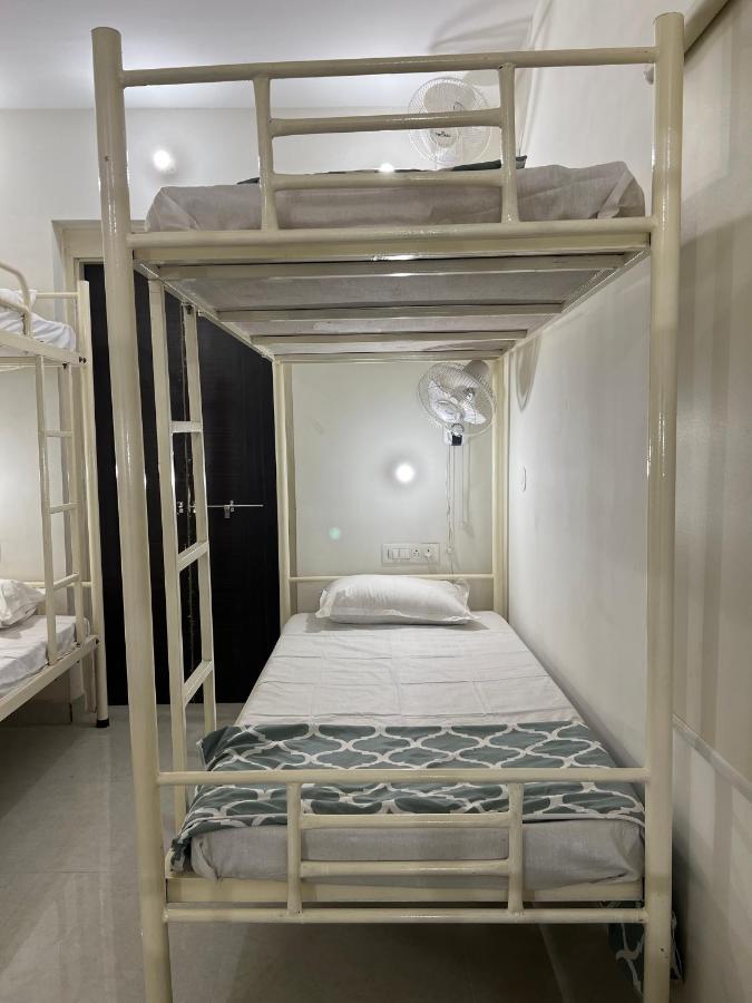 Hostel Ivory