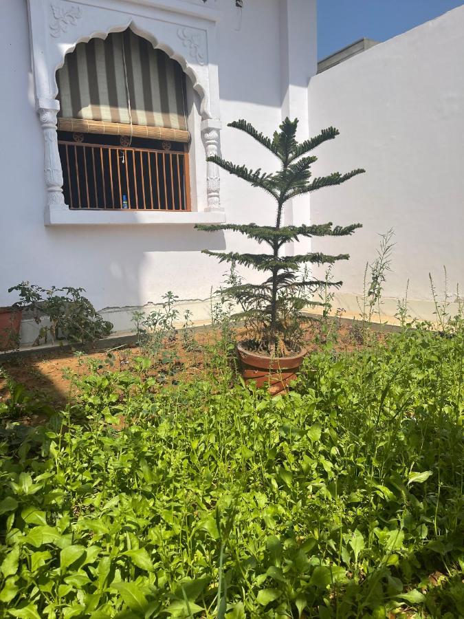 Guest house Casa Humana Jaipur