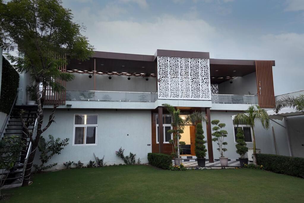 Acorn * Jaipur