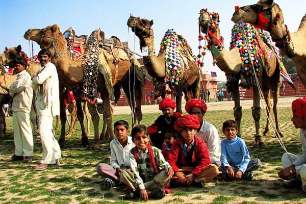 Nangis Pride Hotel Jaipur