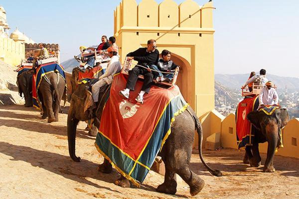 Nangis Pride 3* Jaipur
