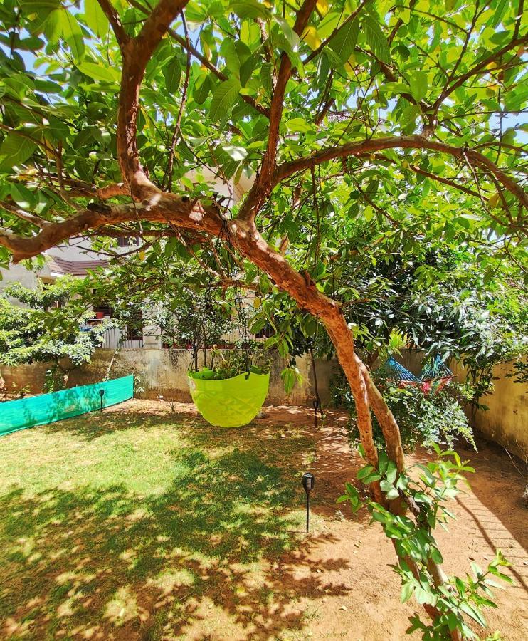 The Nest * Jaipur