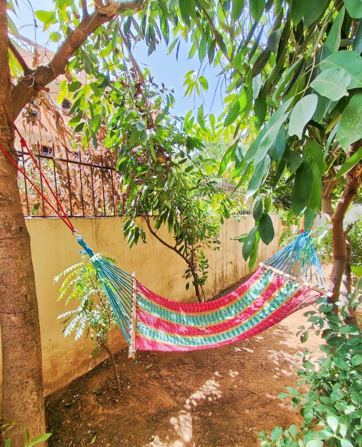 The Nest Apartment