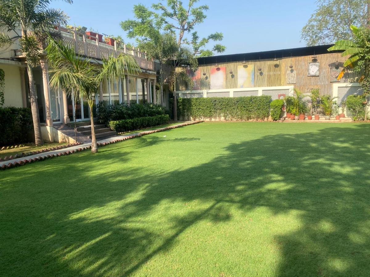Cedar Bed & Breakfast Jaipur