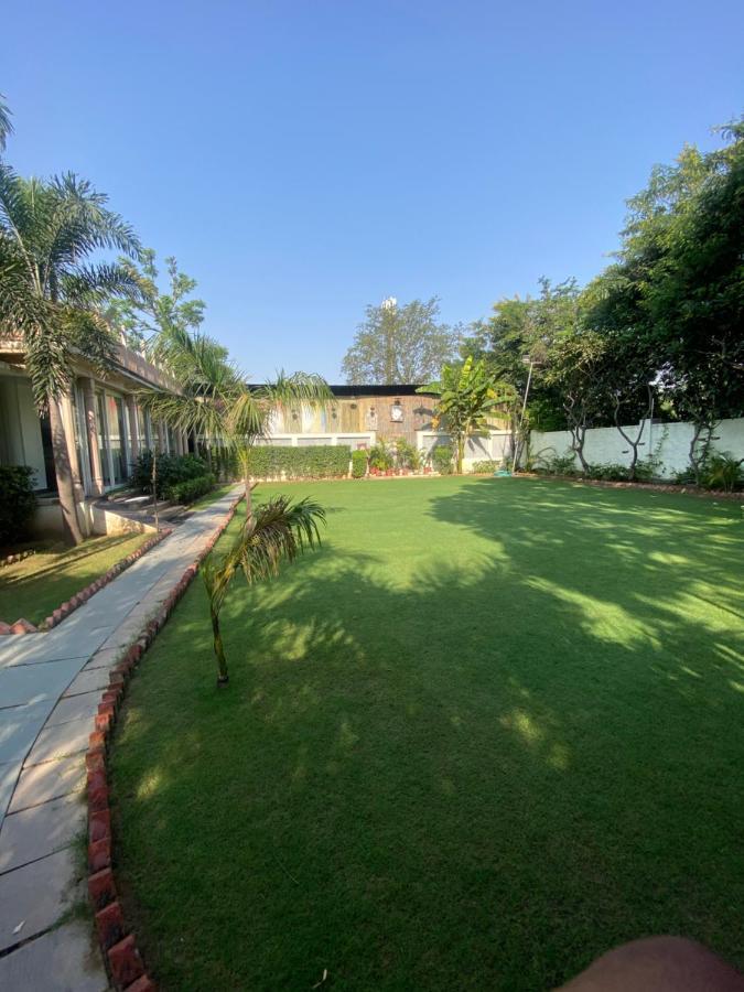 Cedar * Jaipur