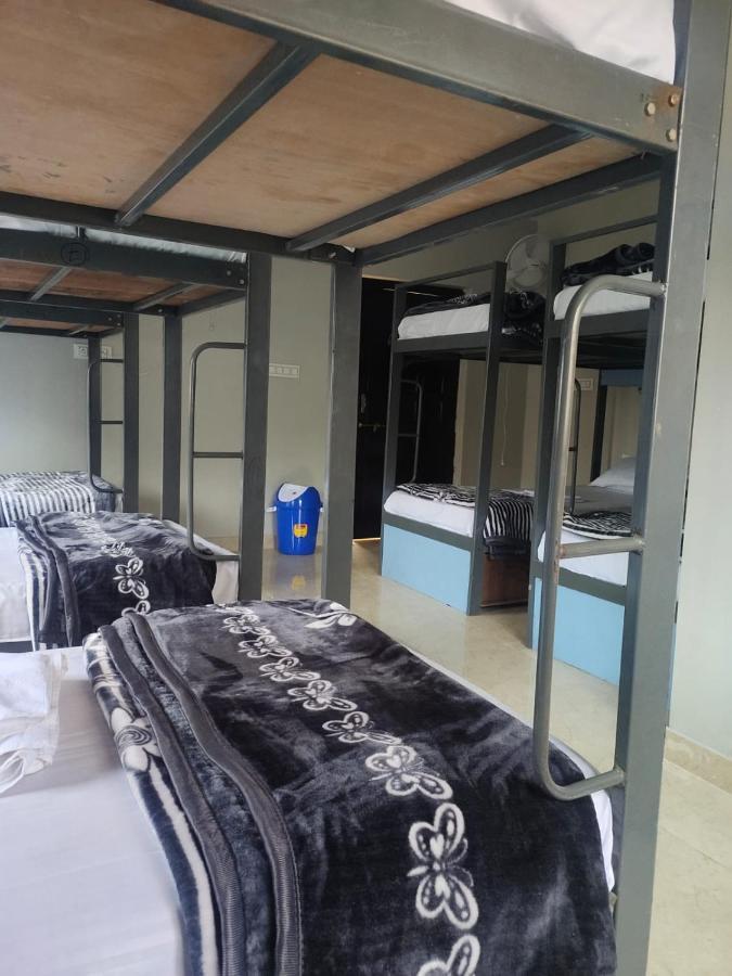 Hostel Pink Backpackers *