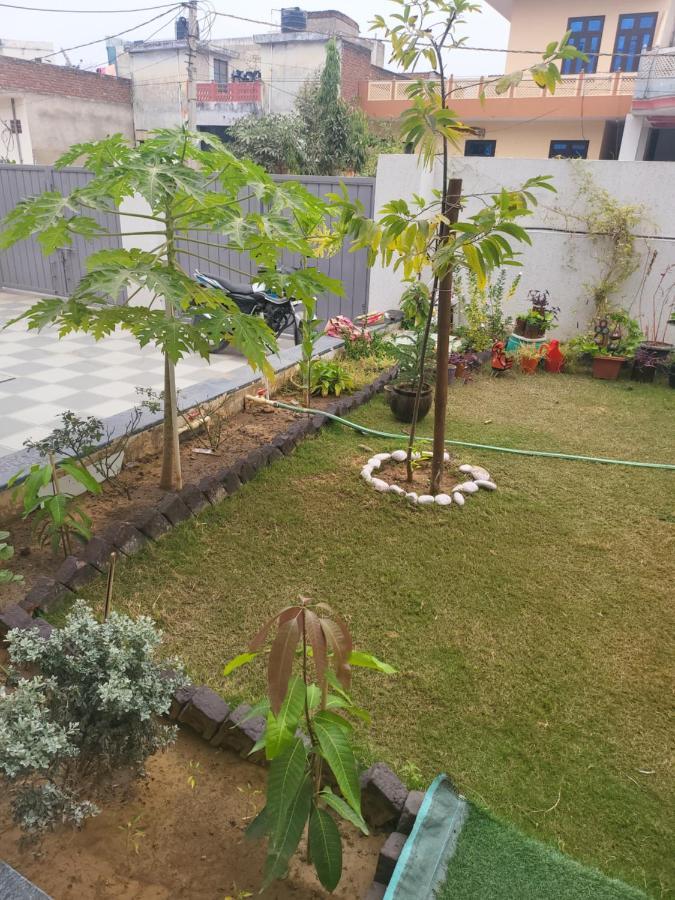 Sweet Apartment Jaipur