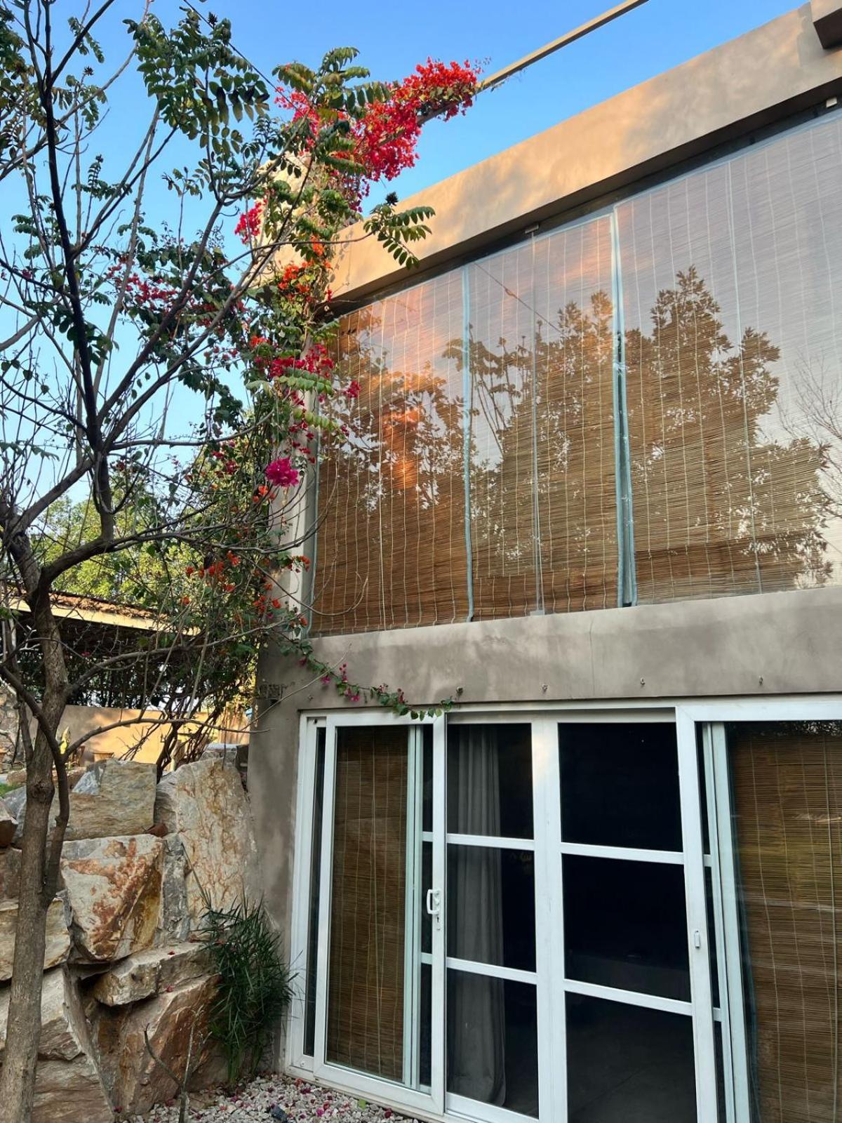 The Barewithin House * Jaipur