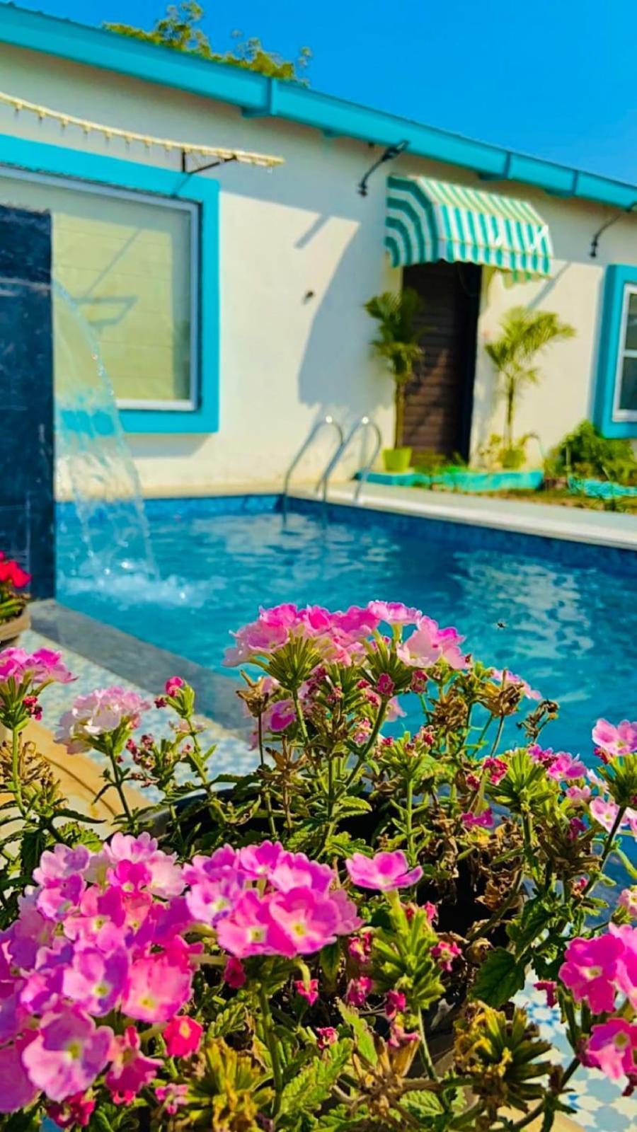 Ananta Casa * Jaipur
