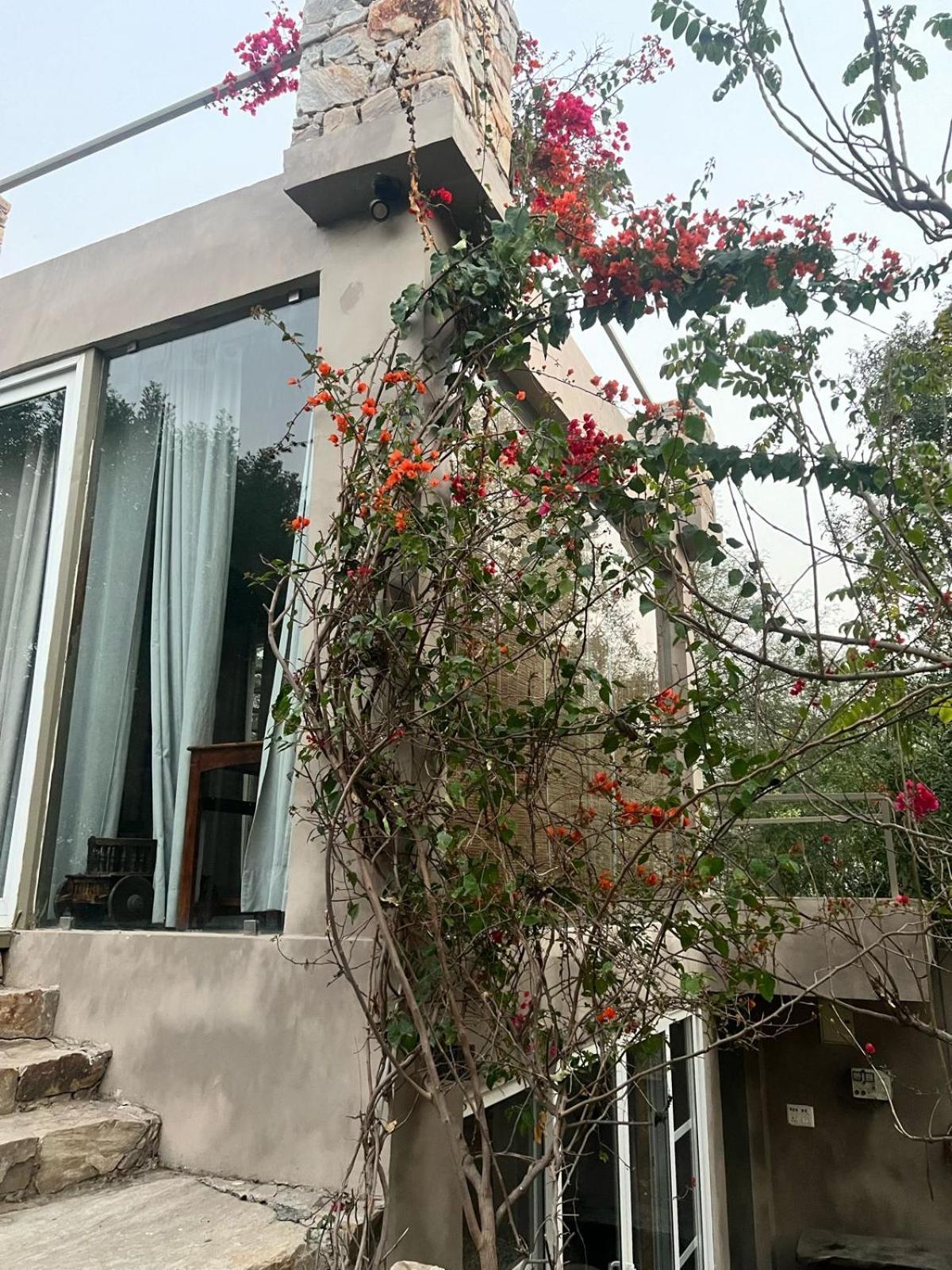 The Barewithin House *