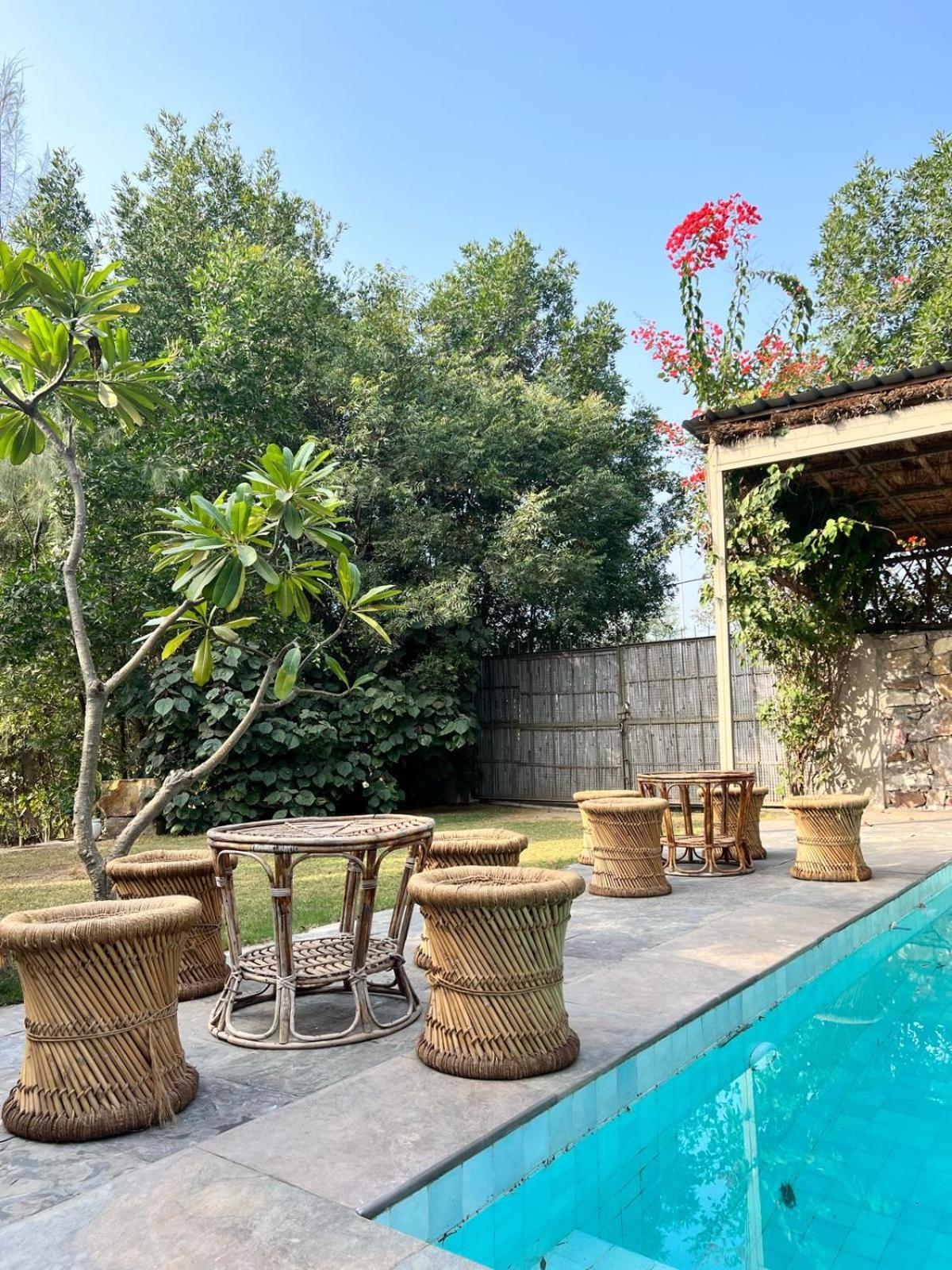 The Barewithin House Jaipur