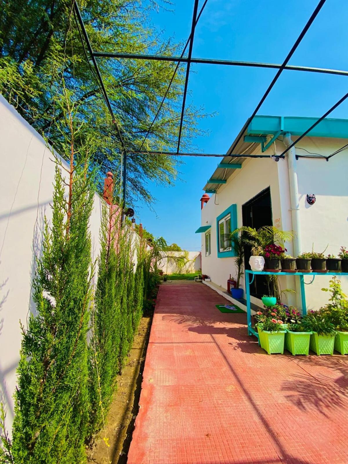 Ananta Casa * Jaipur