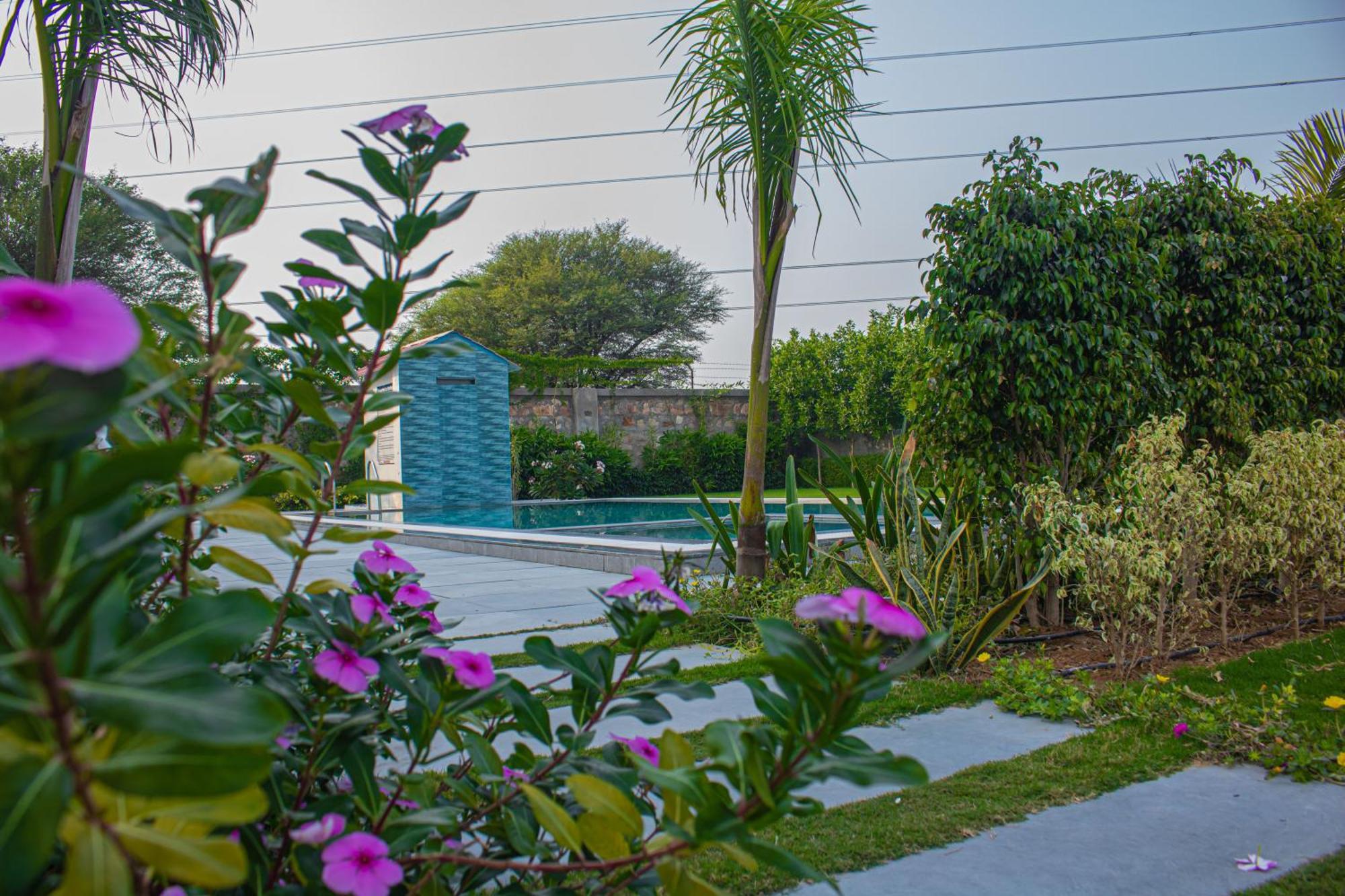 The Peace- A Luxury Private Pool Farm stay *